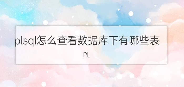 plsql怎么查看数据库下有哪些表 PL/SQL查看数据库表详细信息